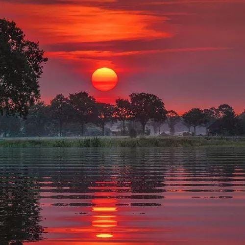 แบมแบม กันต์พิมุกต์ avatar